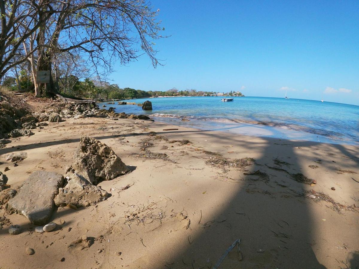 Private Beach House Maloka Surf Puerto Limon Eksteriør bilde
