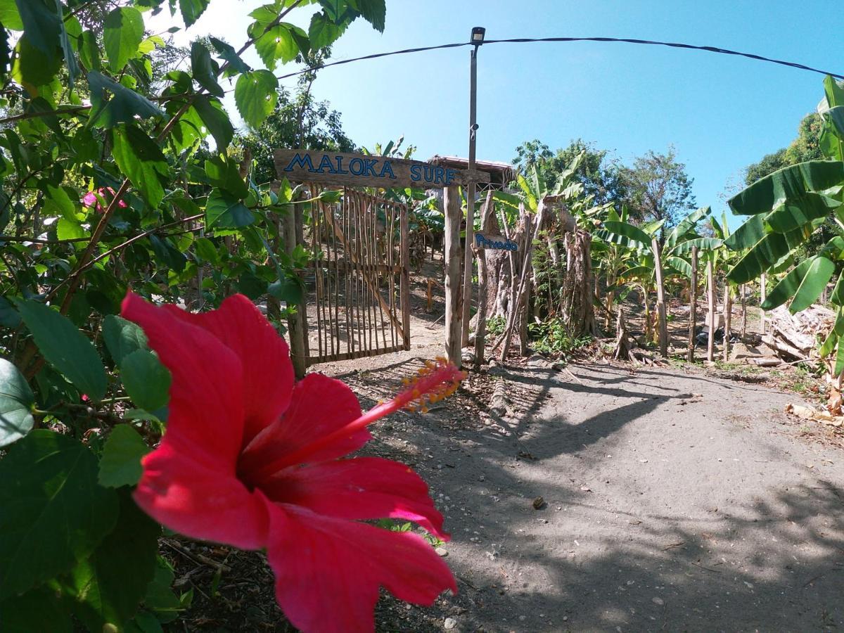 Private Beach House Maloka Surf Puerto Limon Eksteriør bilde